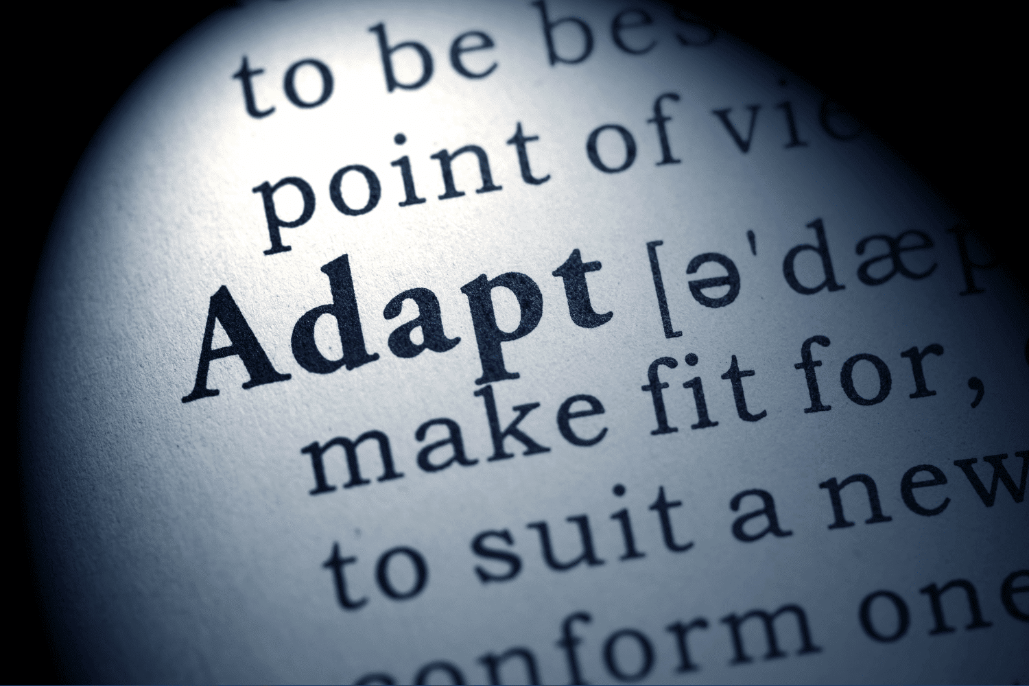Extreme close-up on a dictionary page highlighting the word 'Adapt' and its phonetic spelling, representing the importance of executive adaptability and flexibility.
